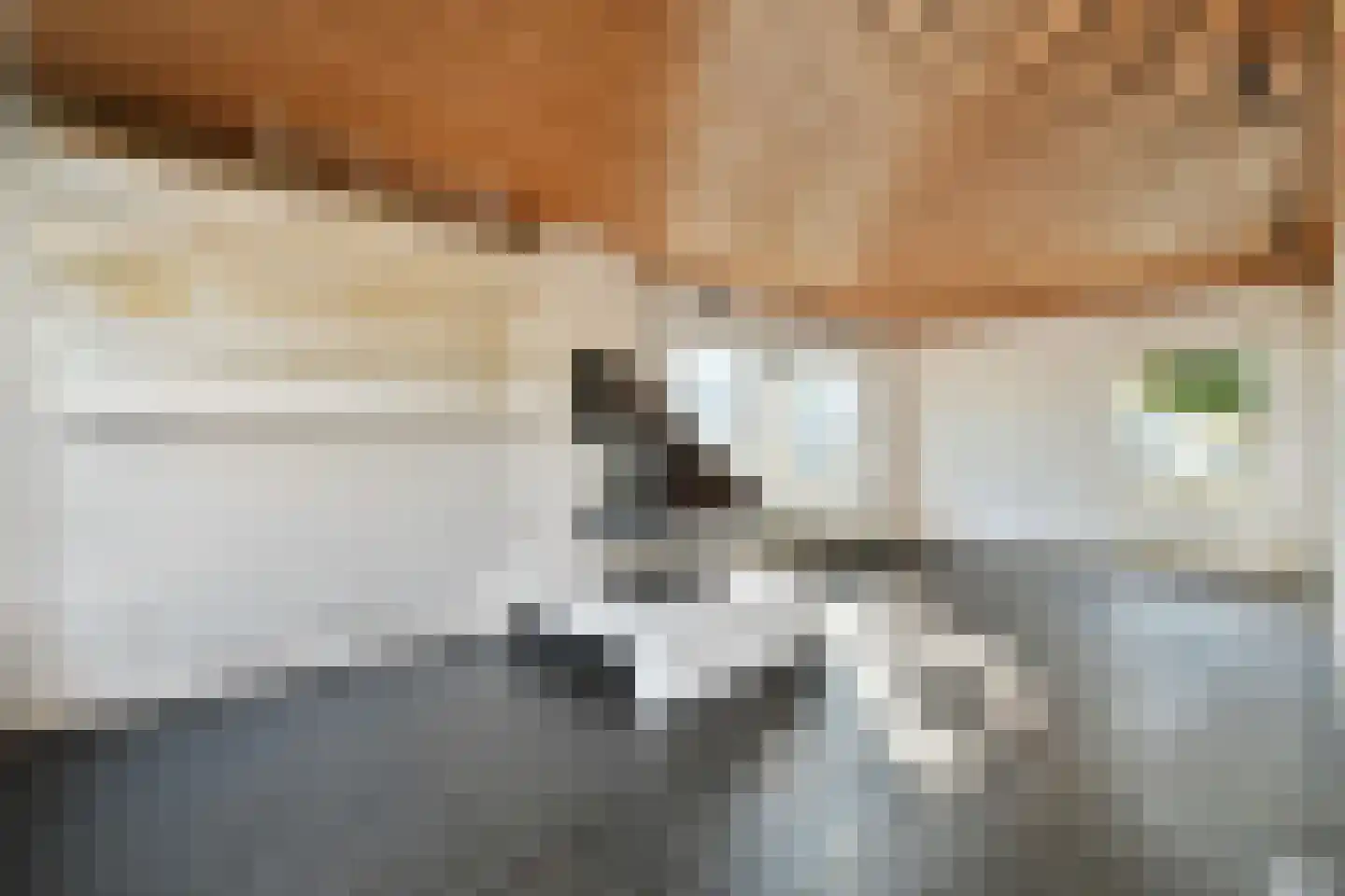 Fetha 5 Vreeland thumbnail 5