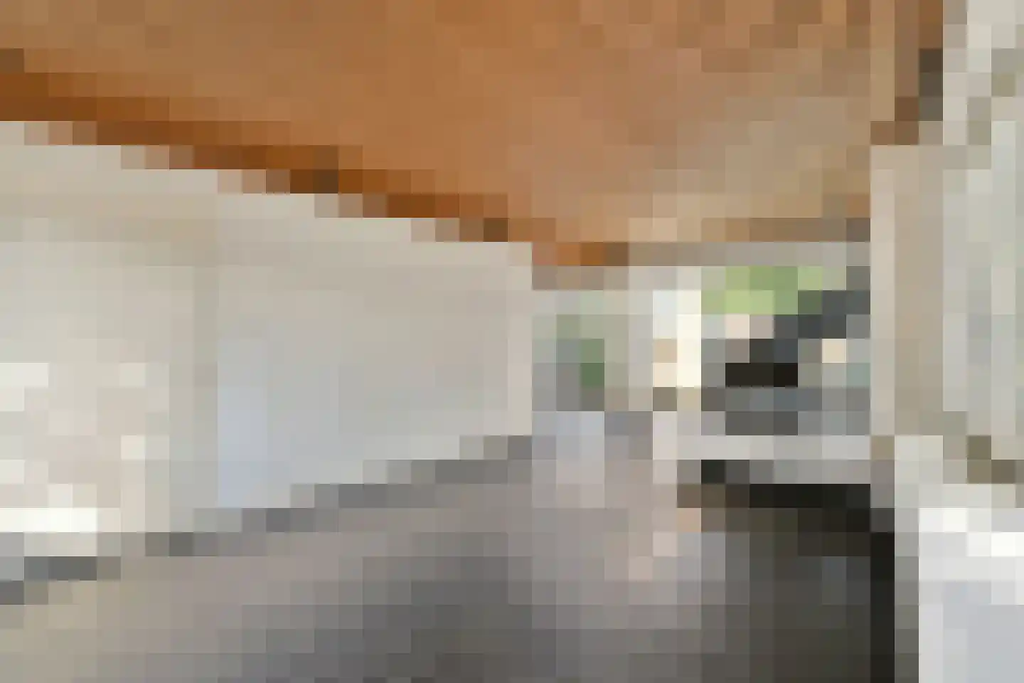 Fetha 5 Vreeland thumbnail 6