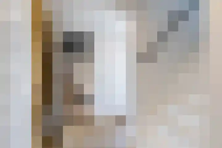 Fetsasingel 11 Dronryp thumbnail 15