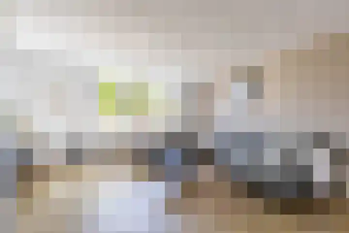 Fetsasingel 11 Dronryp foto 2