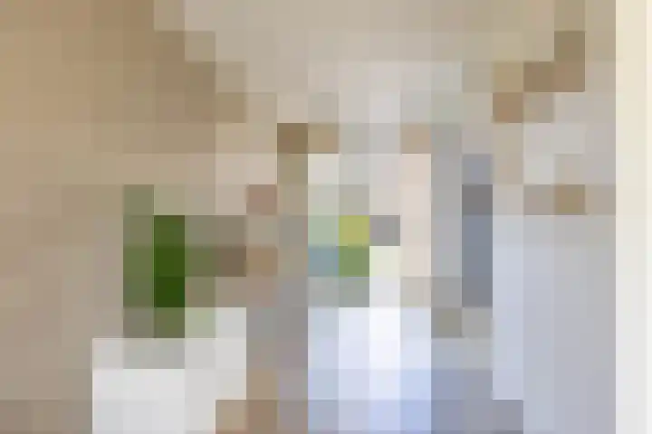 Fetsasingel 11 Dronryp thumbnail 21