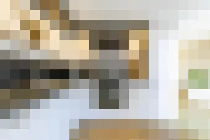 Fetsasingel 11 Dronryp foto 3