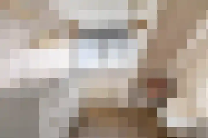 Fetsasingel 11 Dronryp thumbnail 40