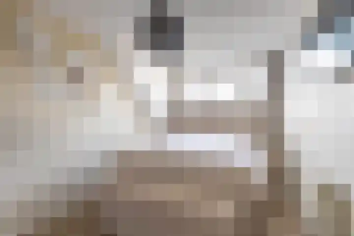Fetsasingel 11 Dronryp thumbnail 42
