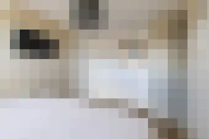 Fetsasingel 11 Dronryp thumbnail 43