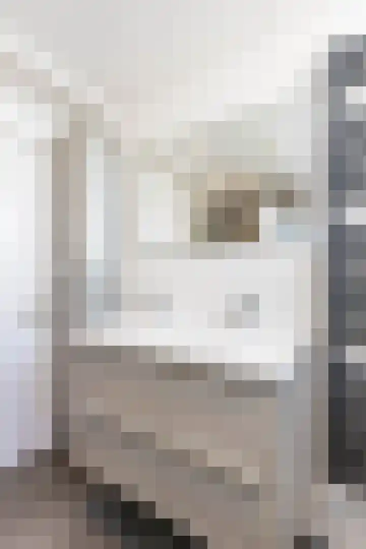 Fetsasingel 11 Dronryp thumbnail 48