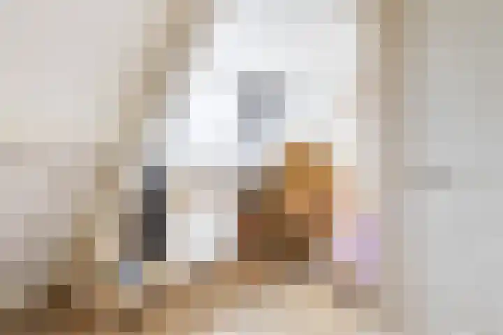 Fetsasingel 11 Dronryp thumbnail 51