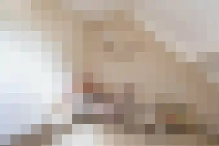 Fetsasingel 11 Dronryp thumbnail 52