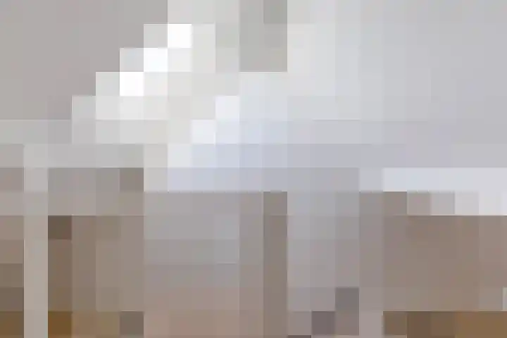 Fetsasingel 11 Dronryp thumbnail 59