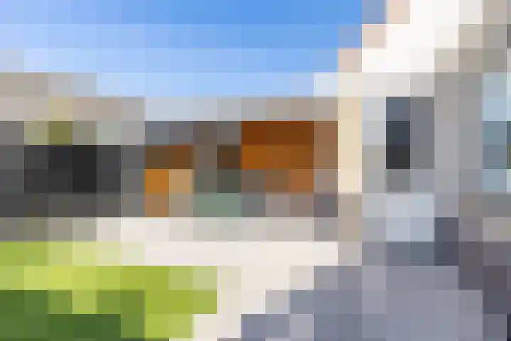 Fetsasingel 11 Dronryp thumbnail 62