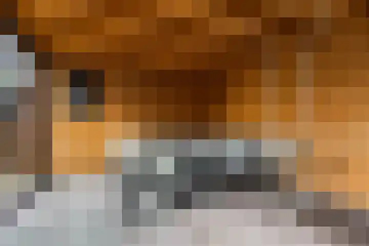 Fetsasingel 11 Dronryp thumbnail 65