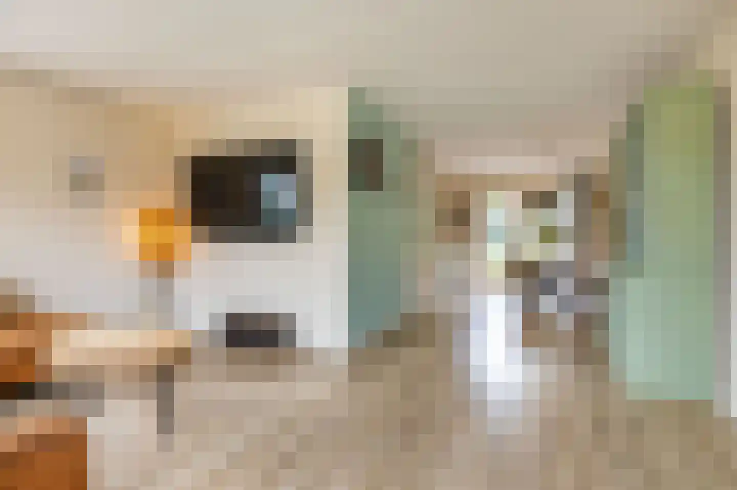 Fetsasingel 17 Dronryp thumbnail 20