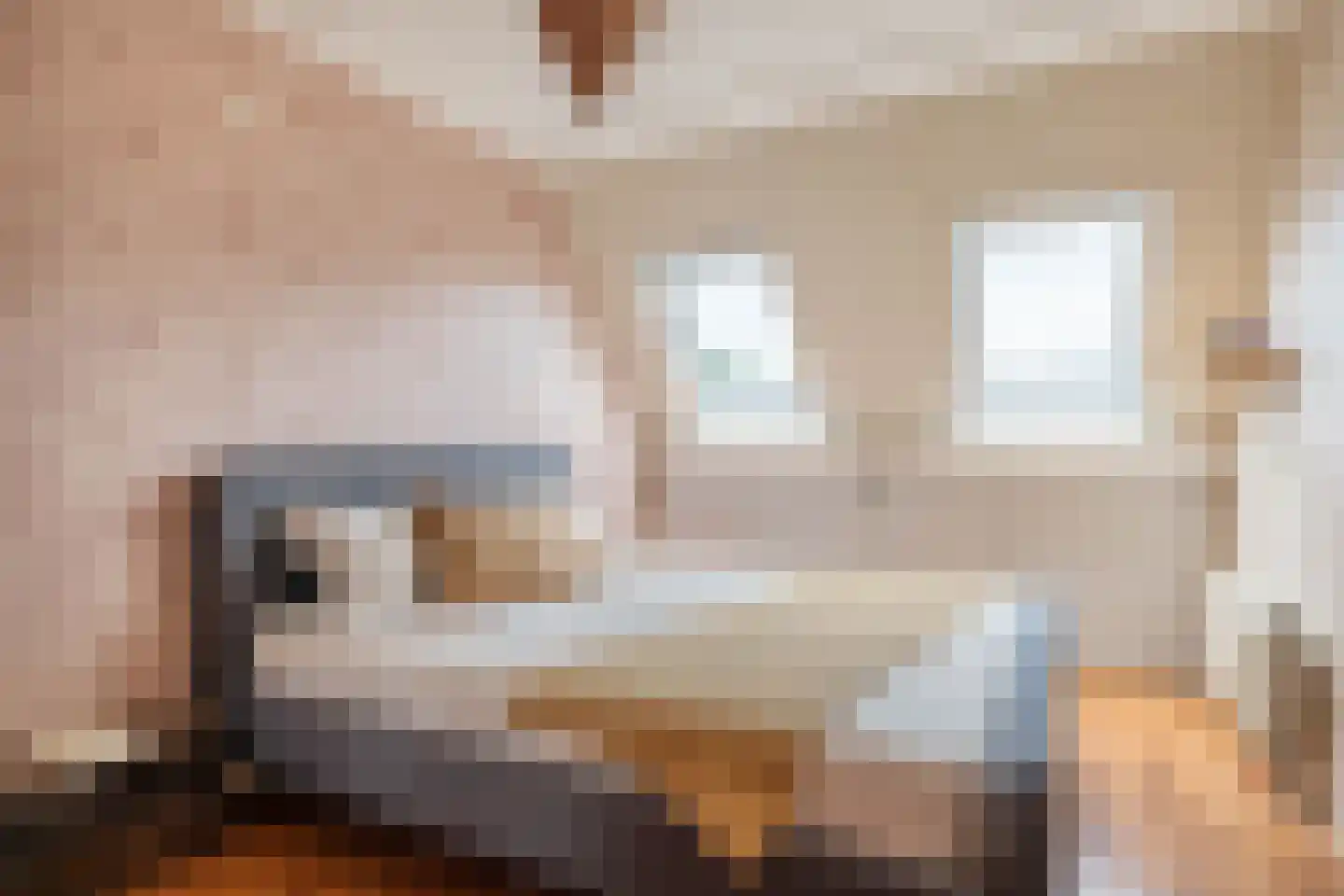 Fetsasingel 17 Dronryp thumbnail 4