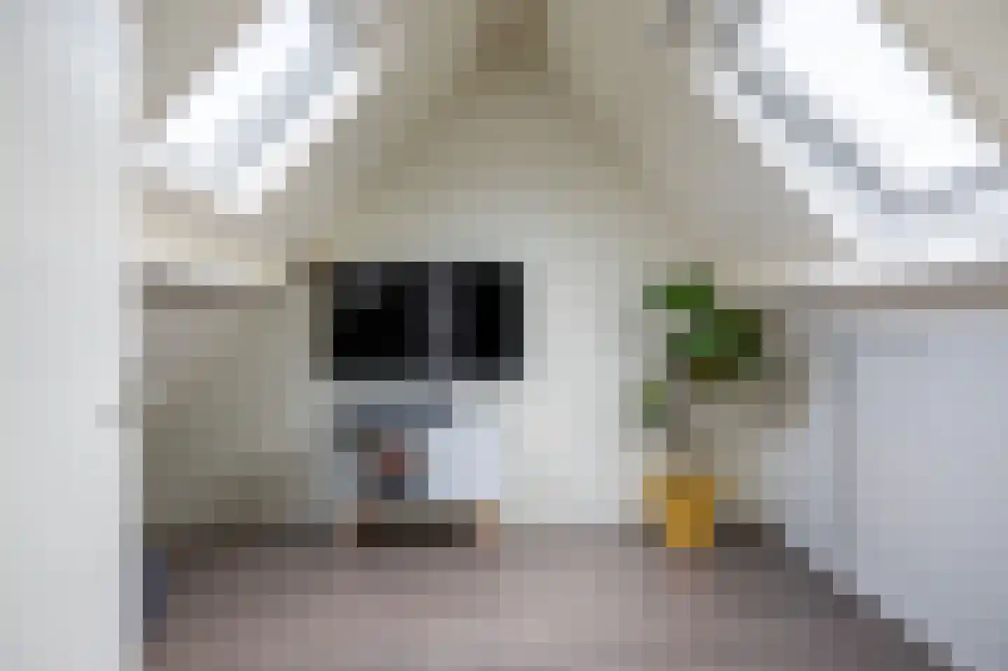 Fetsasingel 17 Dronryp thumbnail 42
