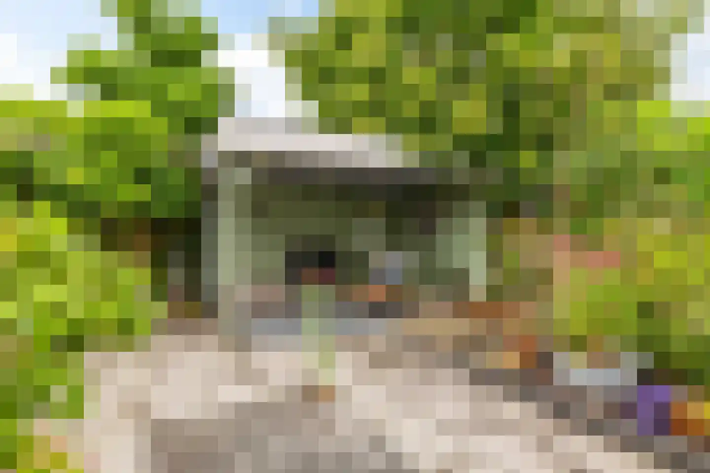 Fetsasingel 17 Dronryp thumbnail 49