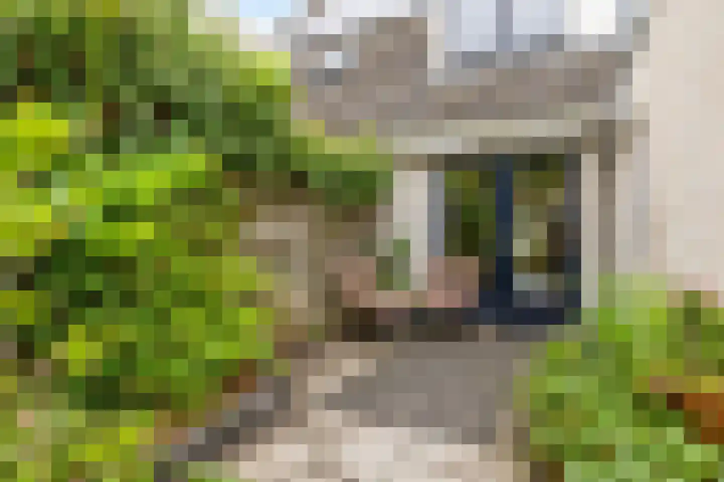 Fetsasingel 17 Dronryp thumbnail 53