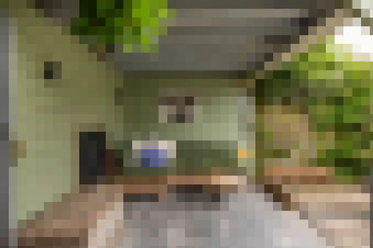 Fetsasingel 17 Dronryp thumbnail 56