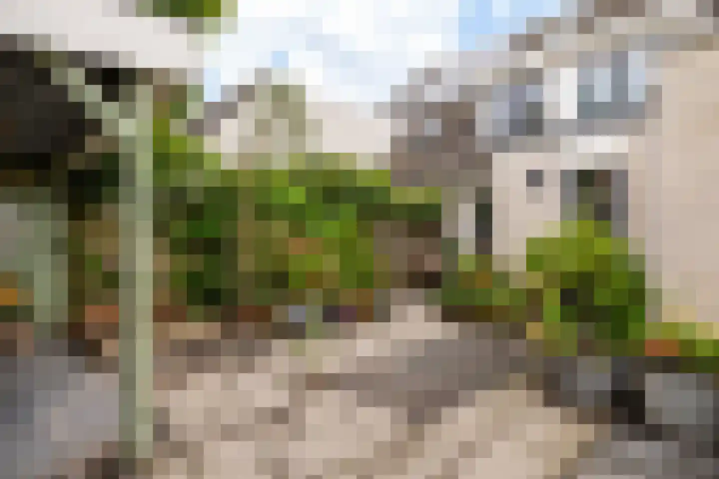 Fetsasingel 17 Dronryp thumbnail 57