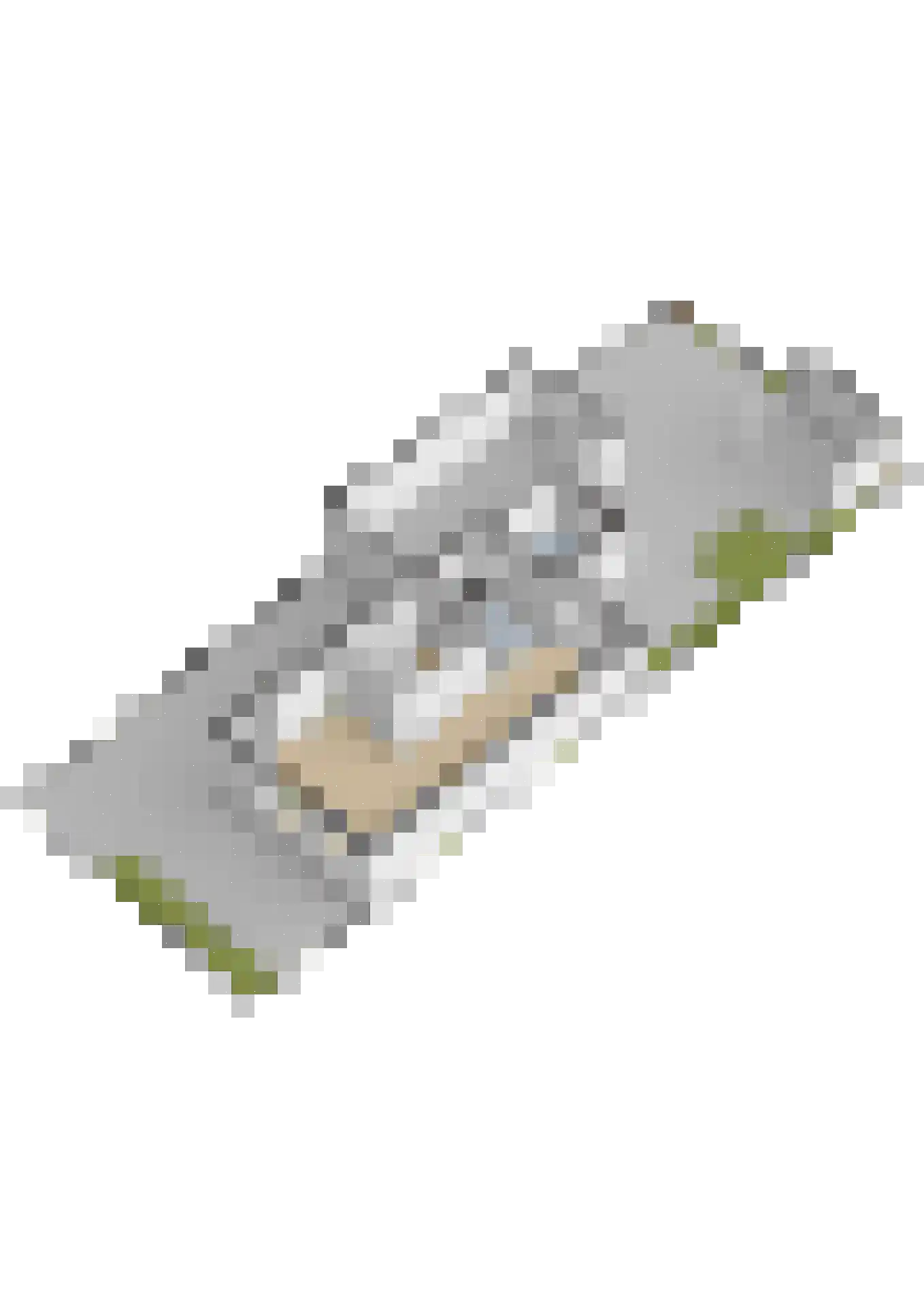 Fetsasingel 17 Dronryp thumbnail 69