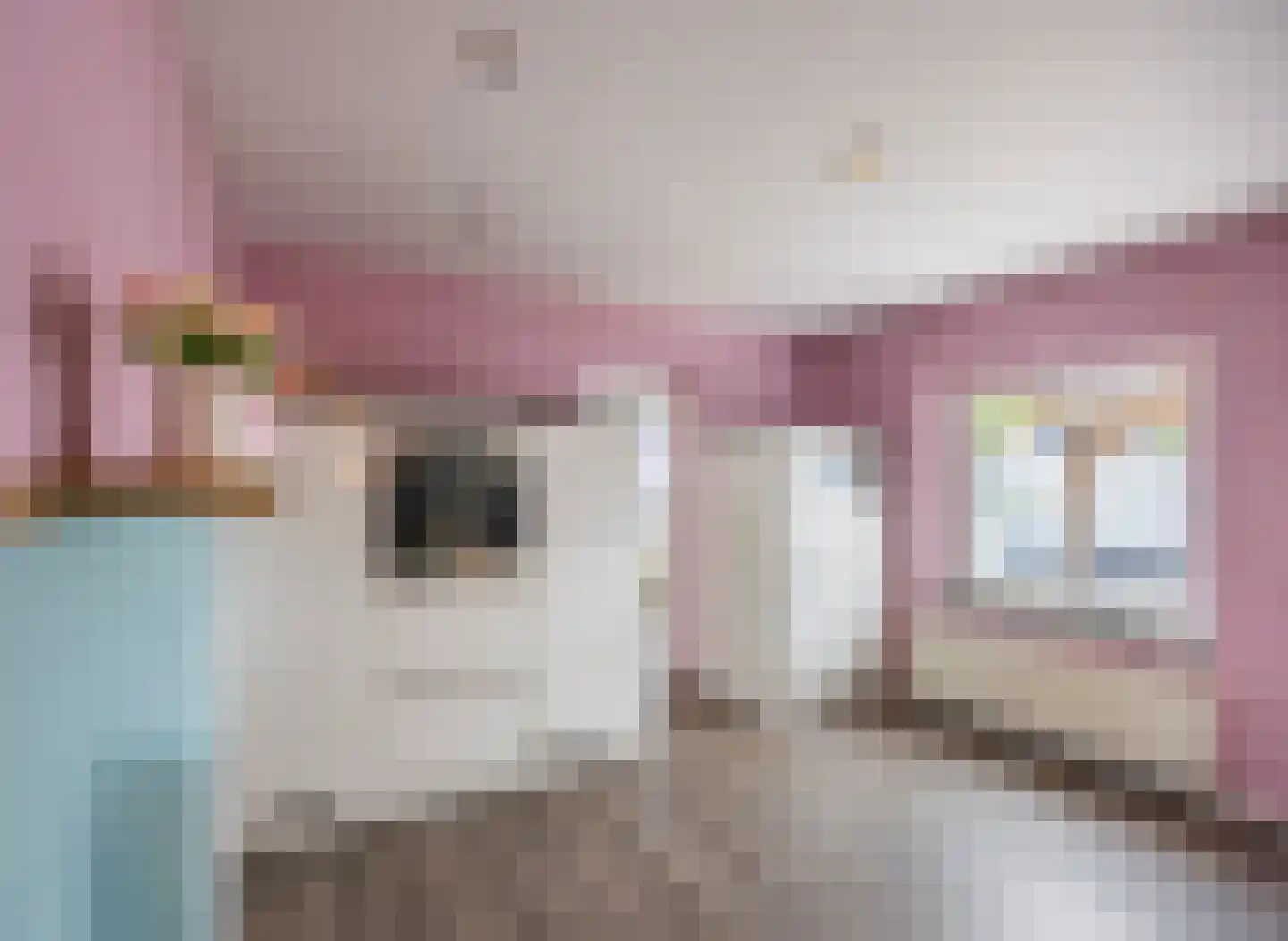 Feurthstraat 47 Susteren thumbnail 16