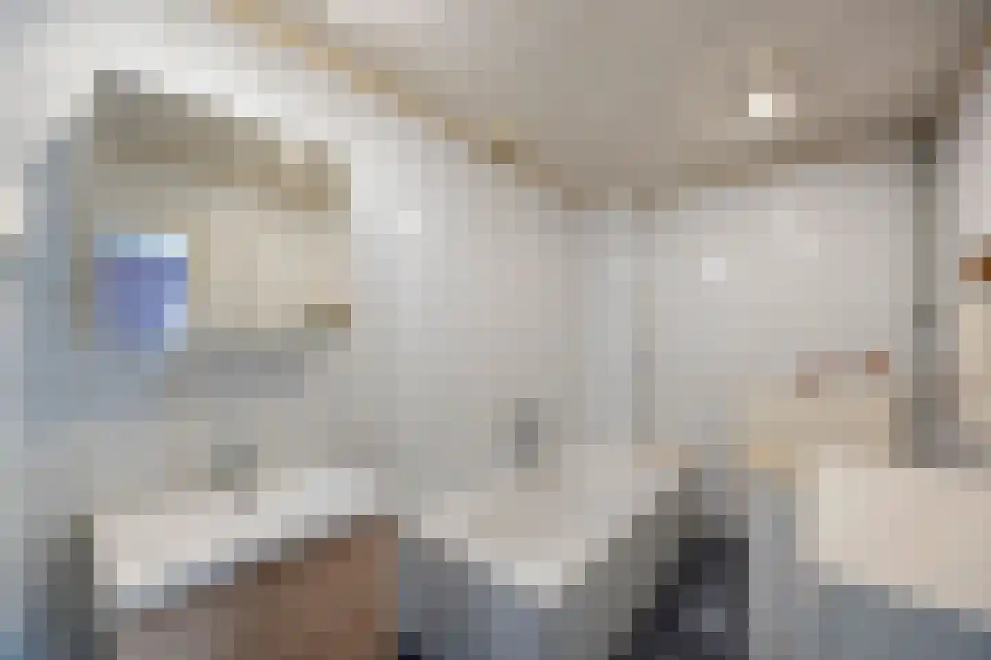 Feurthstraat 47 Susteren thumbnail 20