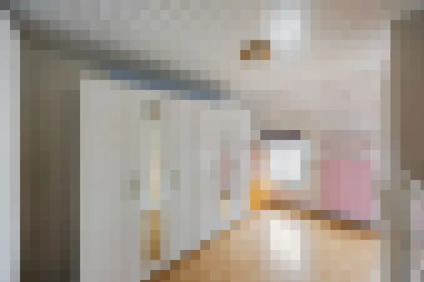Feurthstraat 47 Susteren thumbnail 23