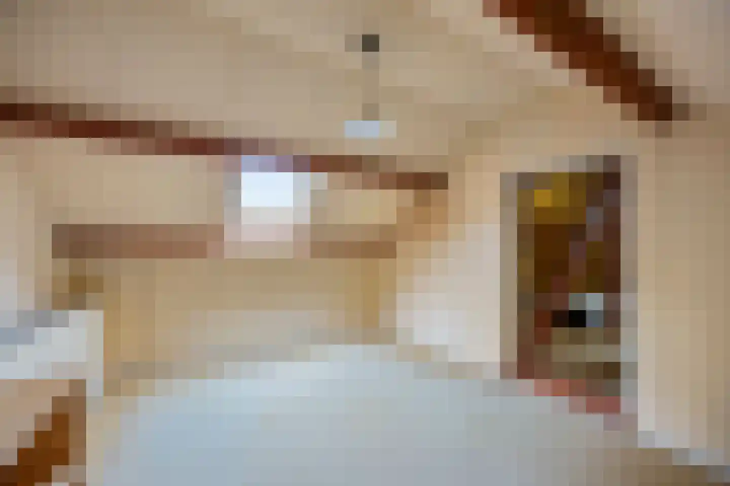 Feurthstraat 47 Susteren thumbnail 29