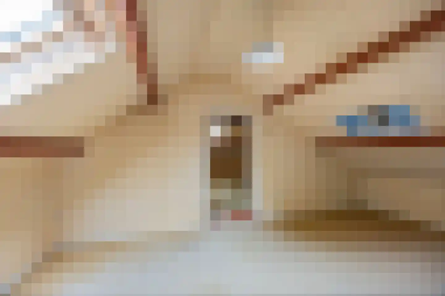 Feurthstraat 47 Susteren thumbnail 30