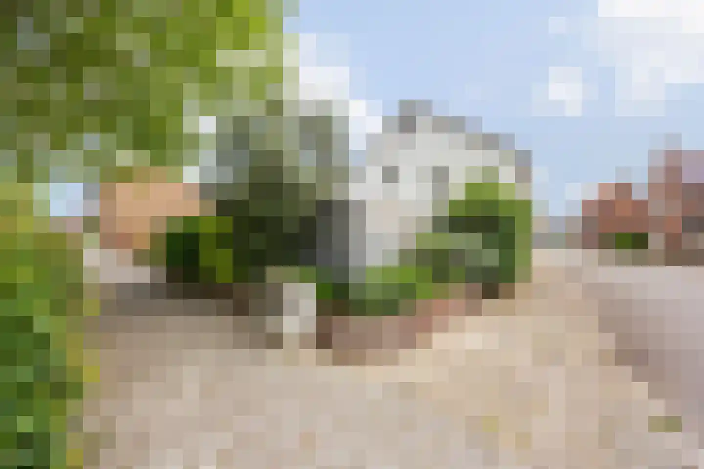 Feurthstraat 47 Susteren thumbnail 35
