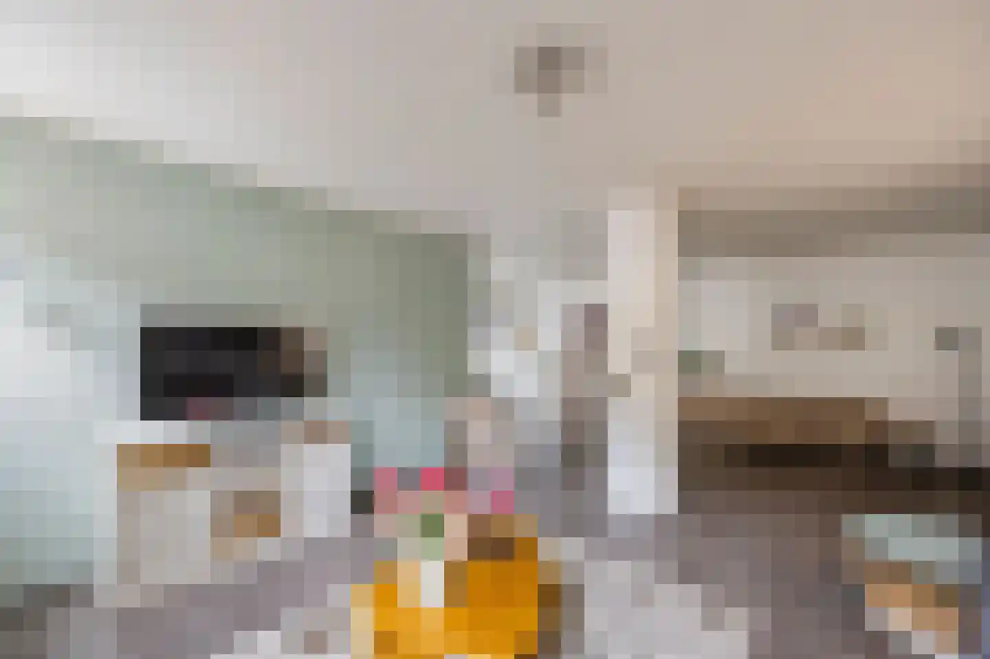 Feurthstraat 47 Susteren thumbnail 8