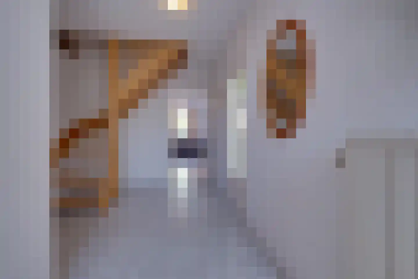 Feurthstraat 57 Susteren thumbnail 10