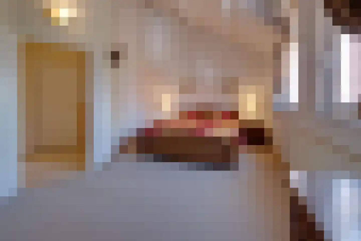 Feurthstraat 57 Susteren thumbnail 24