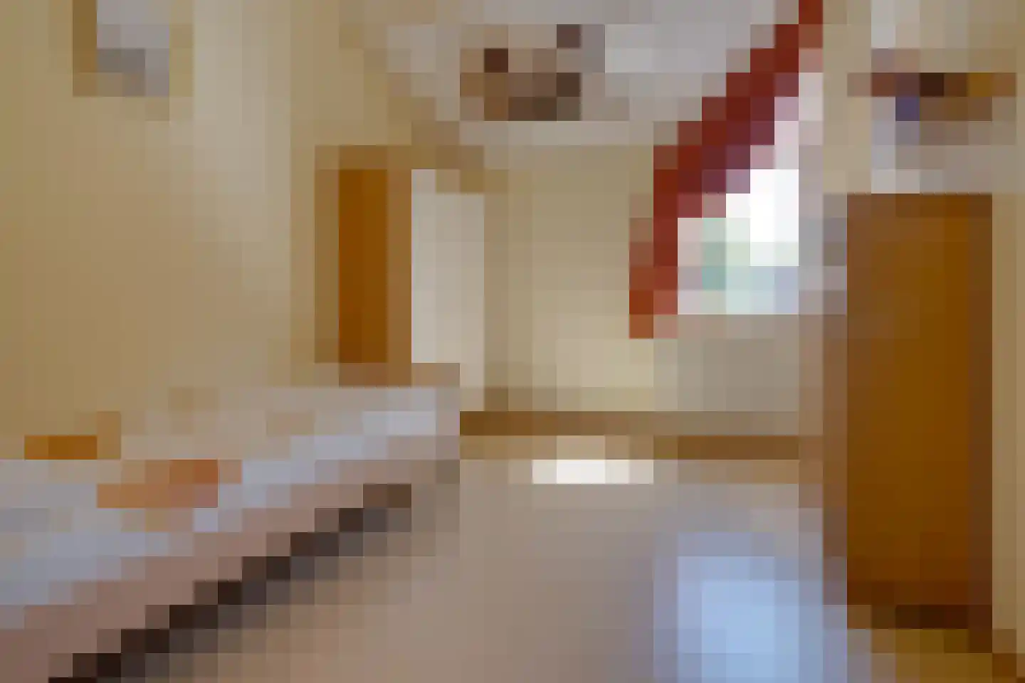 Feurthstraat 57 Susteren thumbnail 25