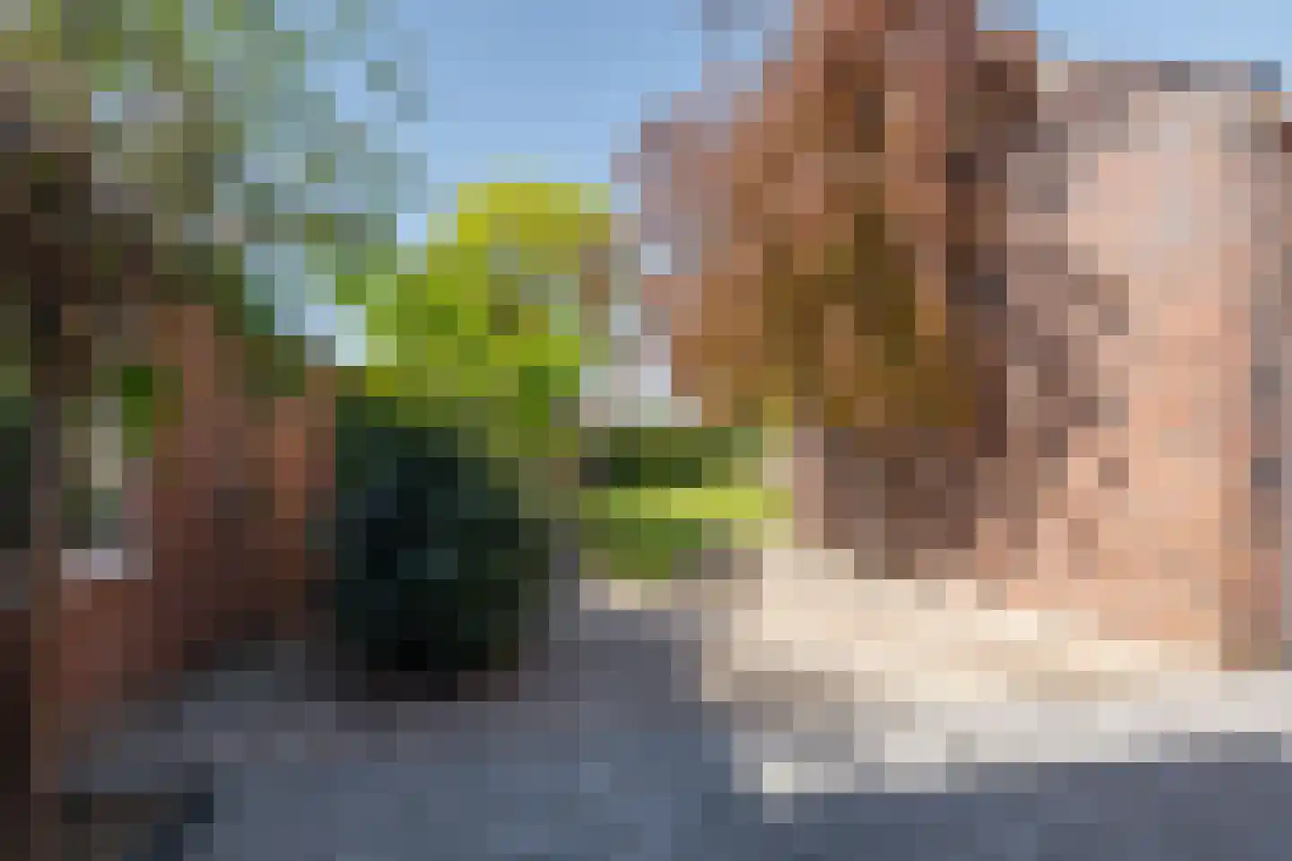 Feurthstraat 57 Susteren thumbnail 37