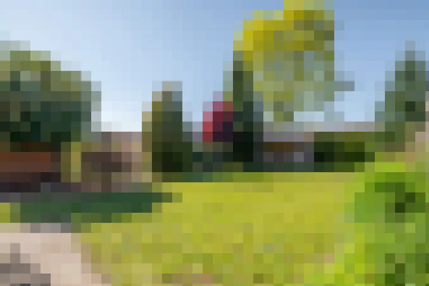 Feurthstraat 57 Susteren thumbnail 38