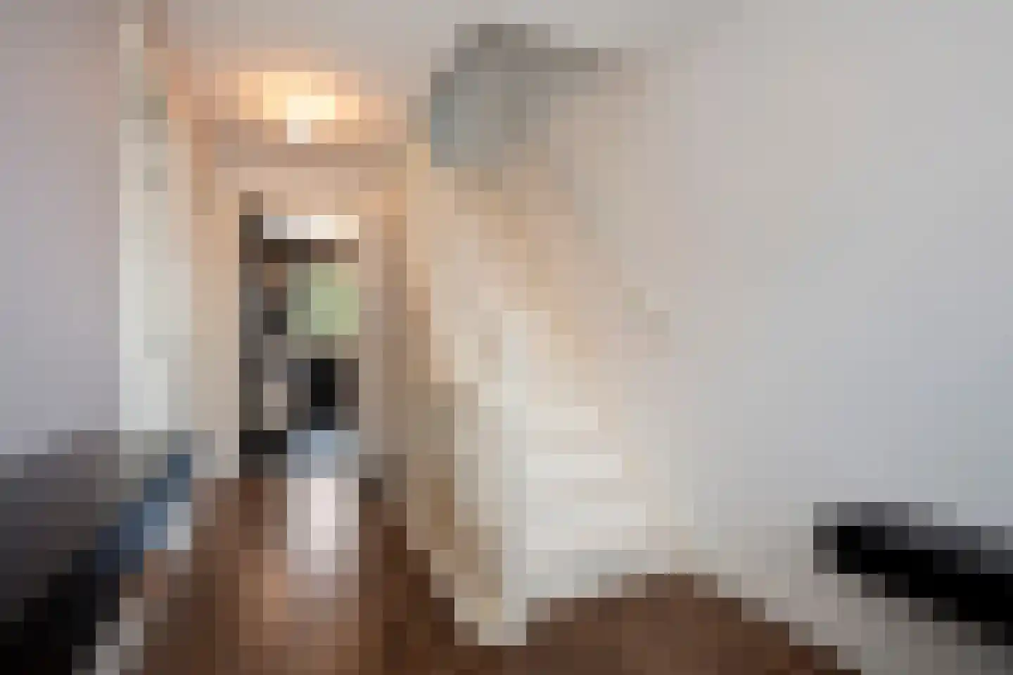 Feurthstraat 82 Susteren thumbnail 17