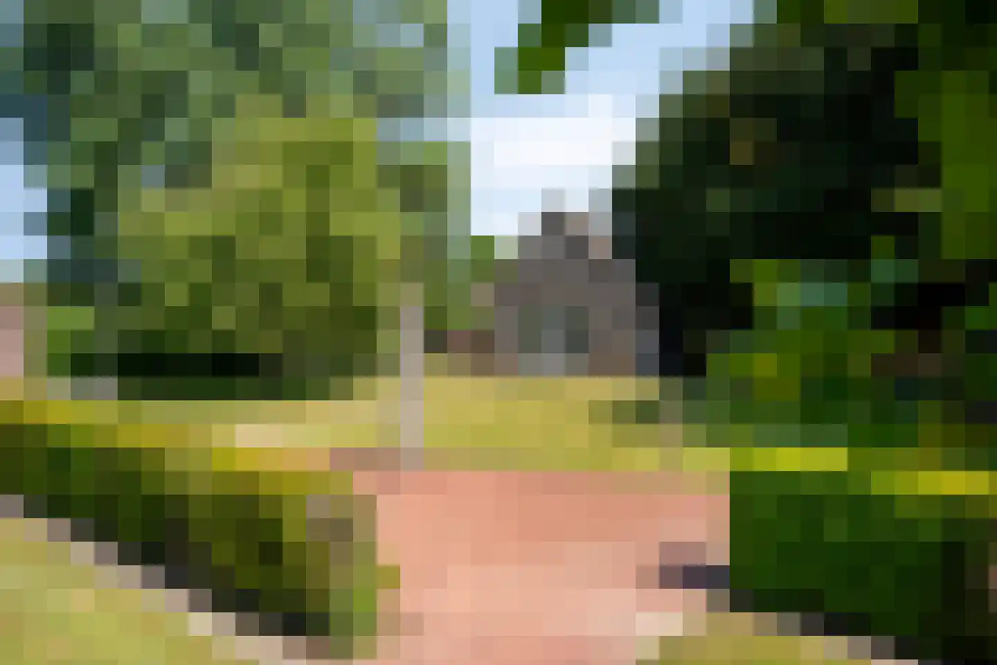 Feurthstraat 82 Susteren thumbnail 31