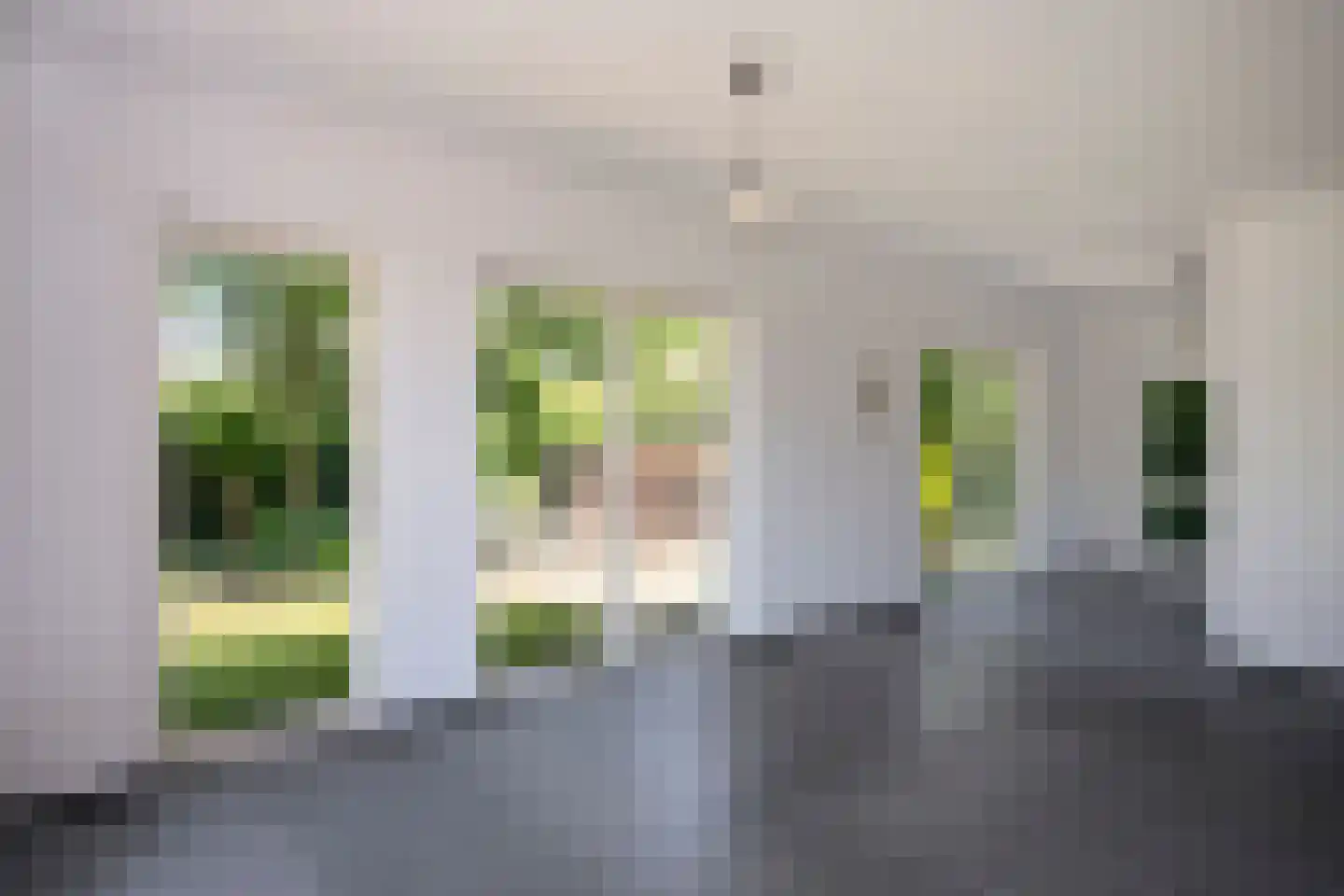 Feurthstraat 82 Susteren thumbnail 35
