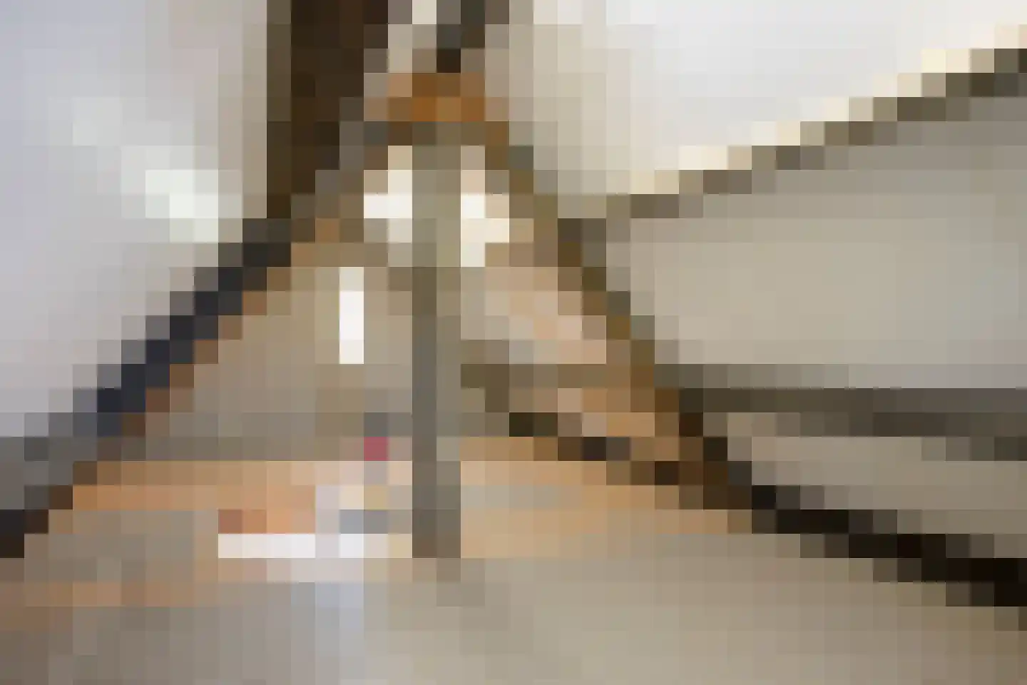 Feurthstraat 82 Susteren thumbnail 39