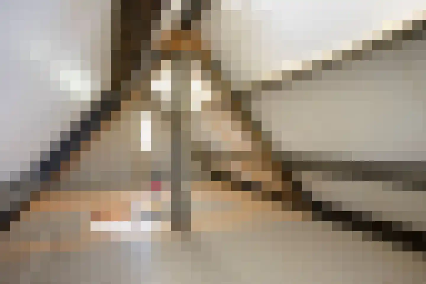 Feurthstraat 82 Susteren thumbnail 40