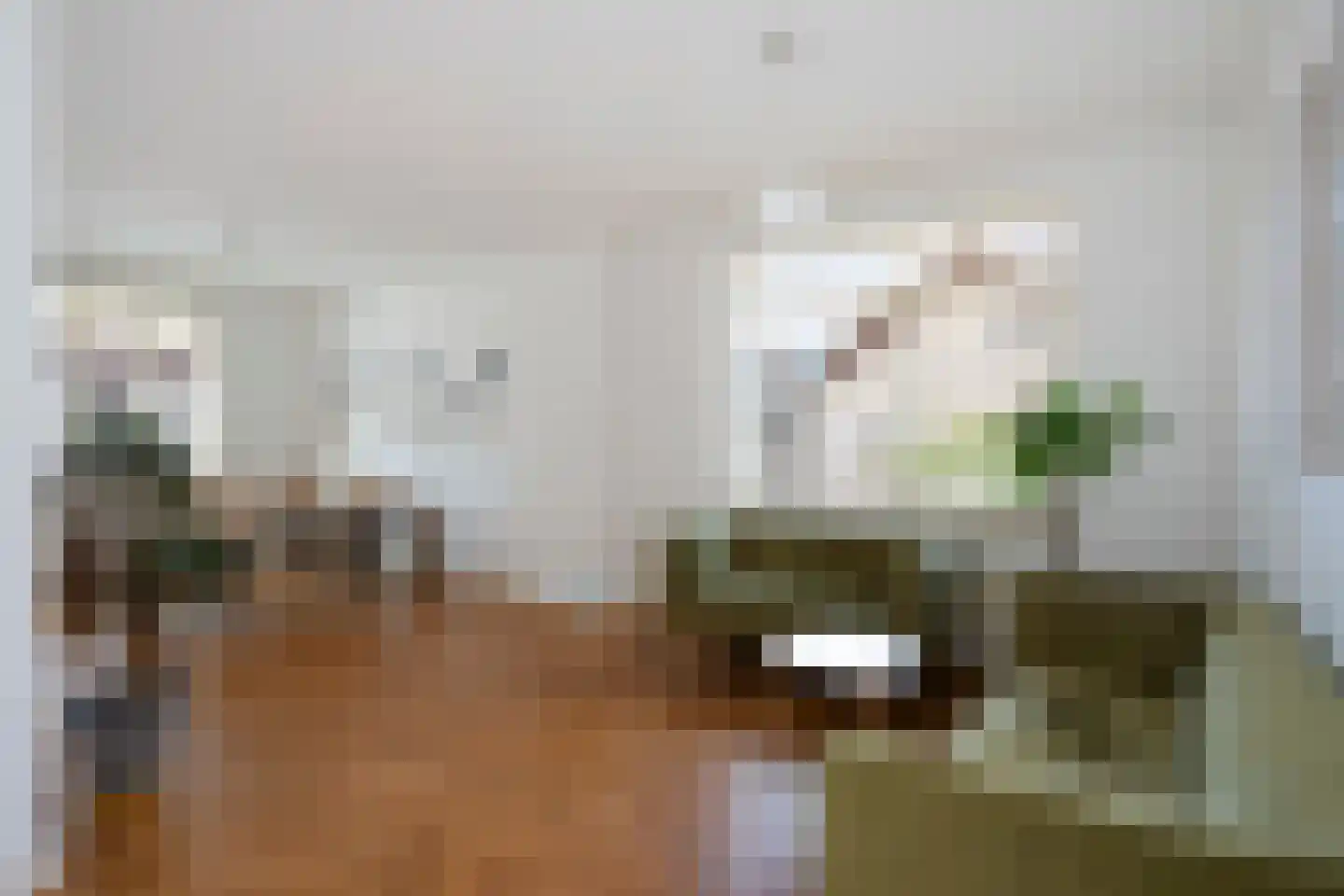 Feurthstraat 82 Susteren thumbnail 7