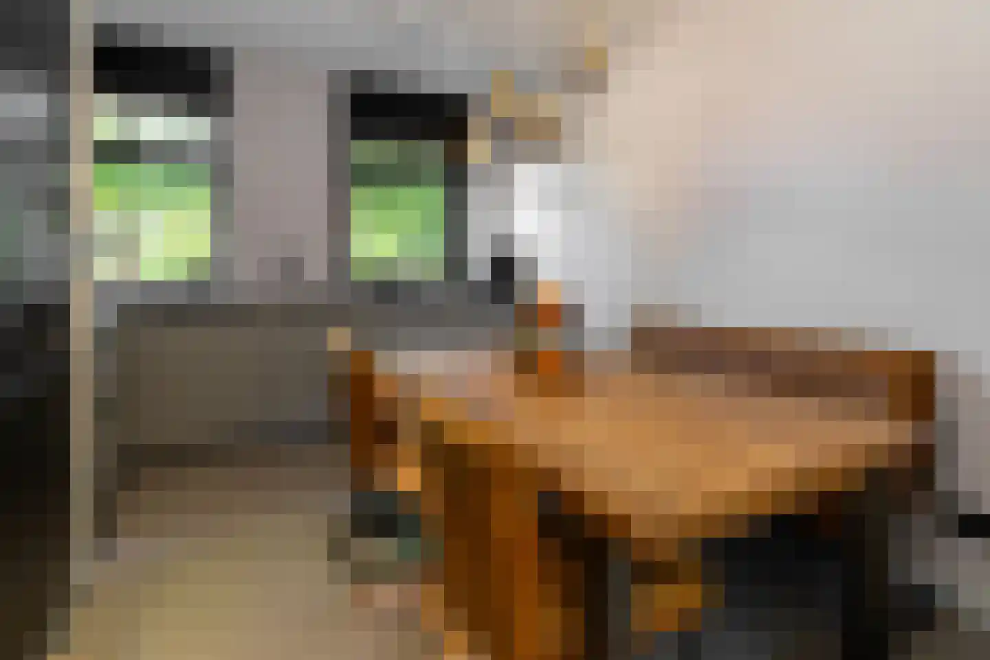 Feytahof 13 Elspeet thumbnail 16