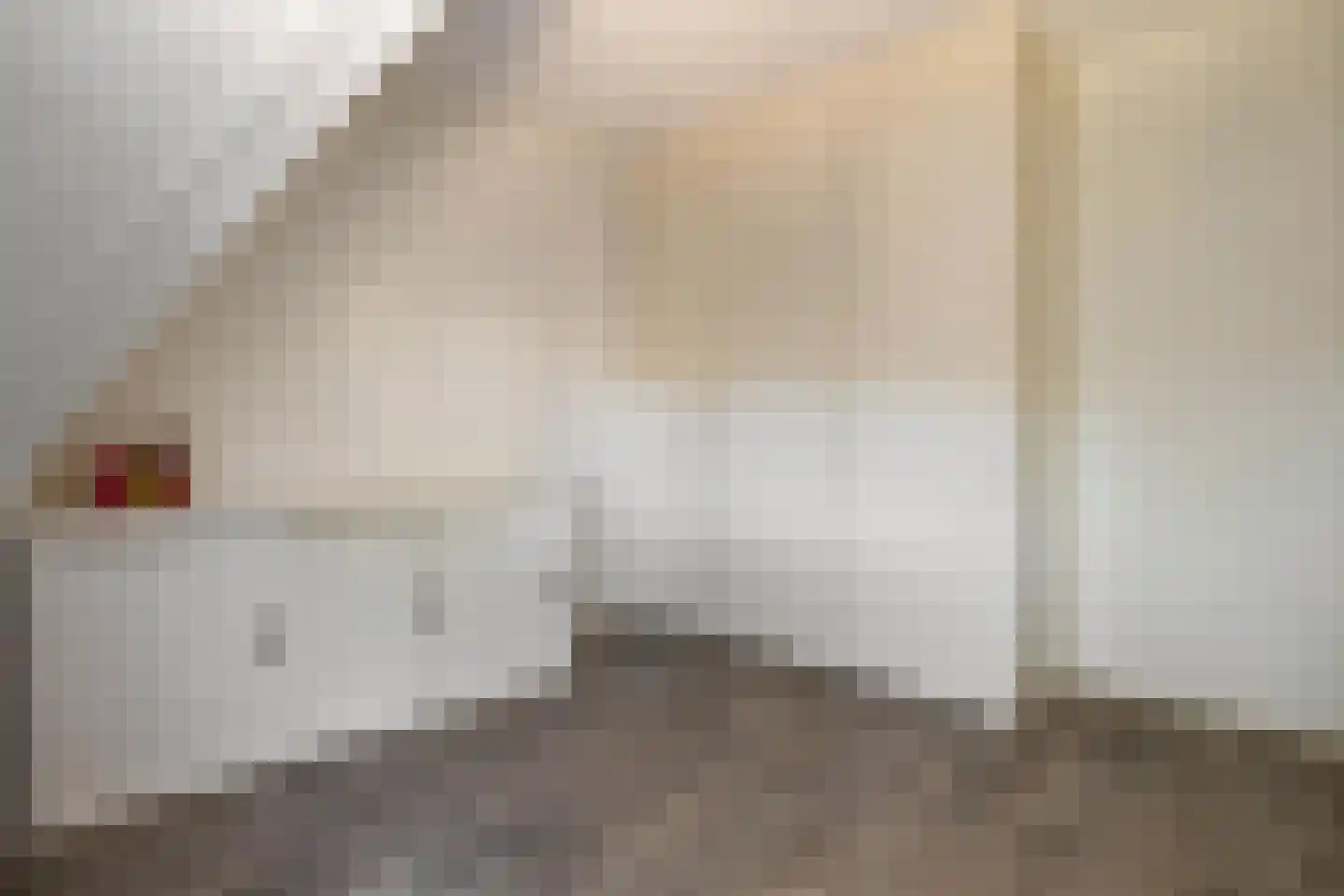 Feytahof 13 Elspeet thumbnail 24