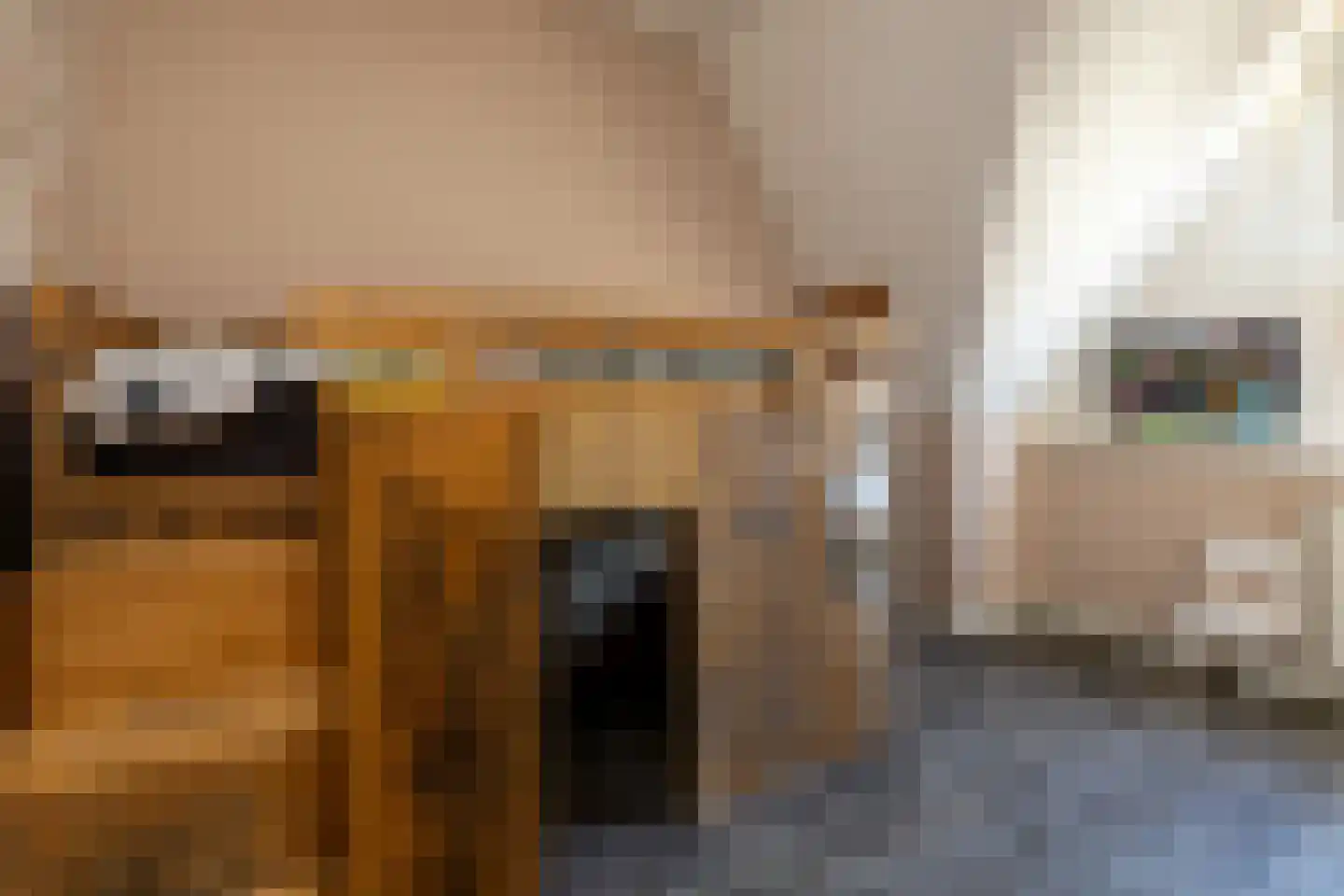 Feytahof 13 Elspeet thumbnail 29