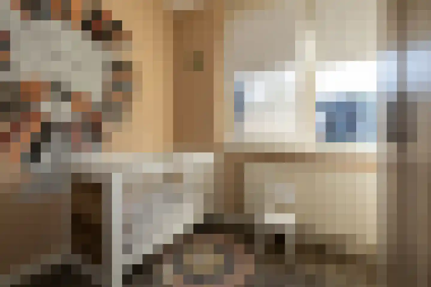 Feytahof 13 Elspeet thumbnail 31