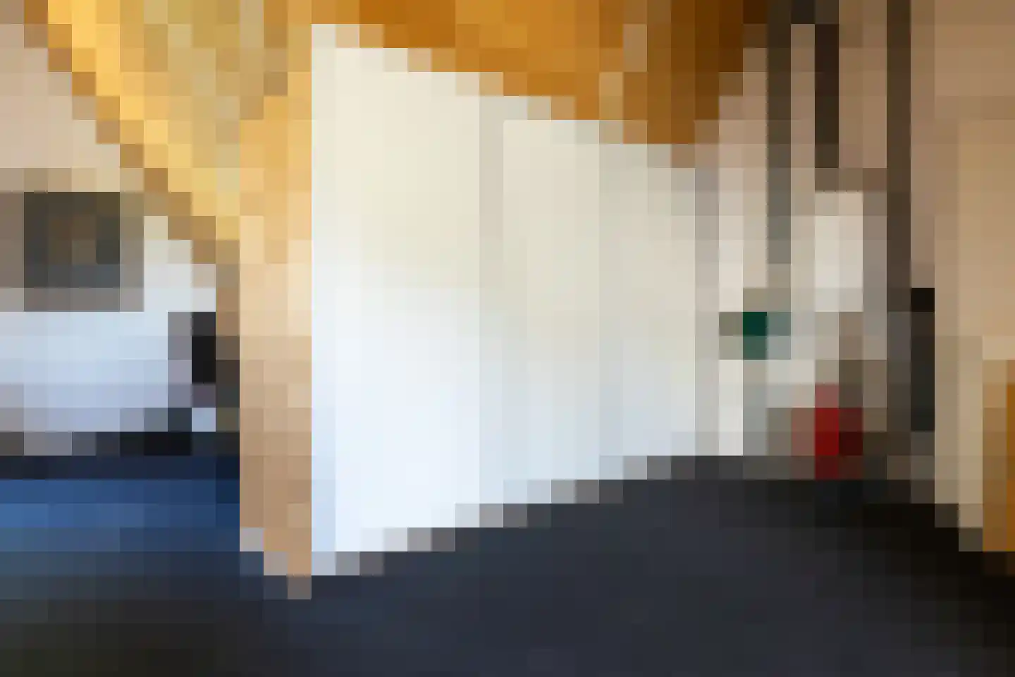 Feytahof 13 Elspeet thumbnail 34