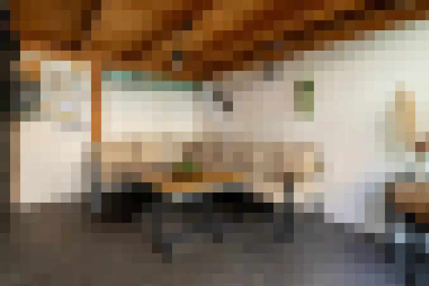 Feytahof 13 Elspeet thumbnail 37