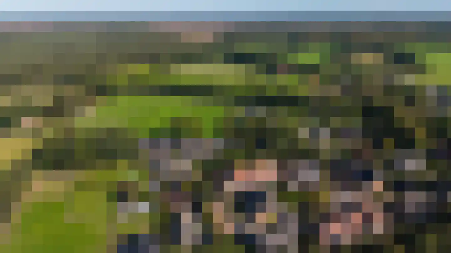 Feytahof 13 Elspeet thumbnail 5