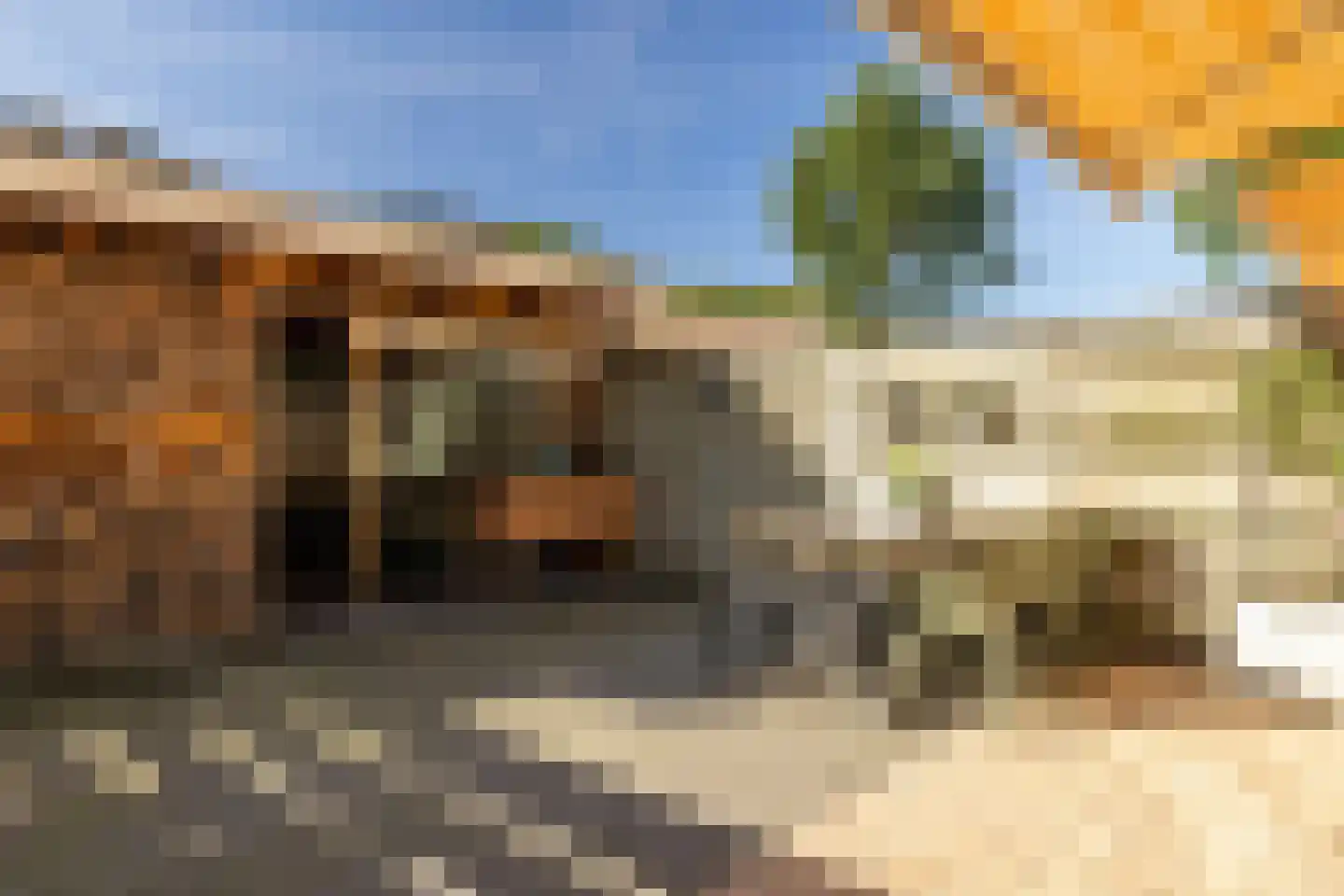 Feytahof 13 Elspeet thumbnail 9