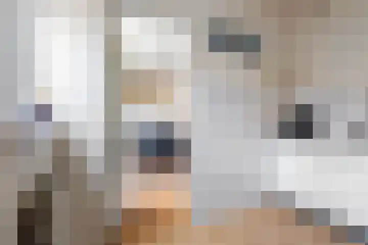 Feytsmastrjitte 7 Ferwert thumbnail 12